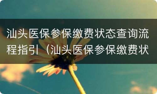 汕头医保参保缴费状态查询流程指引（汕头医保参保缴费状态查询流程指引怎么查）
