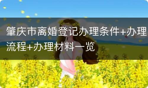肇庆市离婚登记办理条件+办理流程+办理材料一览