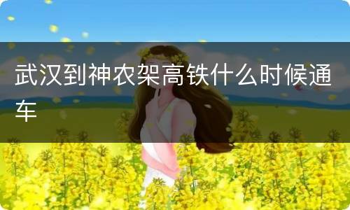 武汉到神农架高铁什么时候通车