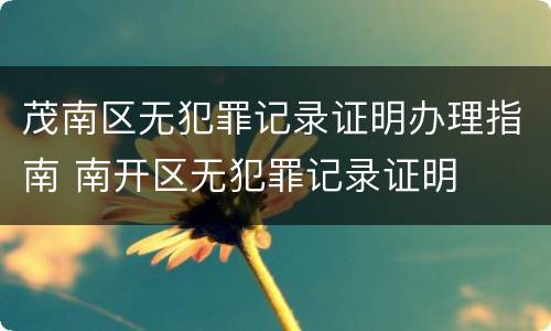 茂南区无犯罪记录证明办理指南 南开区无犯罪记录证明
