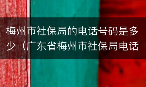 梅州市社保局的电话号码是多少（广东省梅州市社保局电话）
