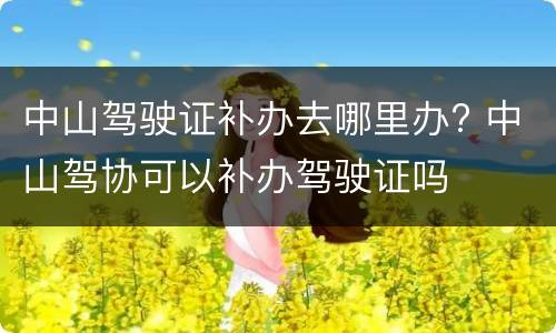 中山驾驶证补办去哪里办? 中山驾协可以补办驾驶证吗