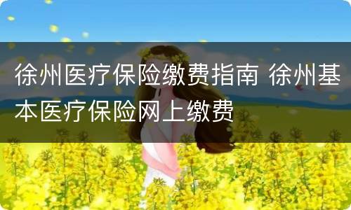 徐州医疗保险缴费指南 徐州基本医疗保险网上缴费
