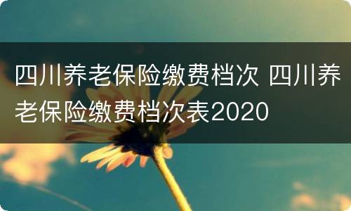 四川养老保险缴费档次 四川养老保险缴费档次表2020