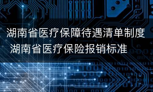 湖南省医疗保障待遇清单制度 湖南省医疗保险报销标准