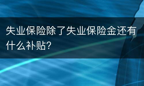 失业保险除了失业保险金还有什么补贴?