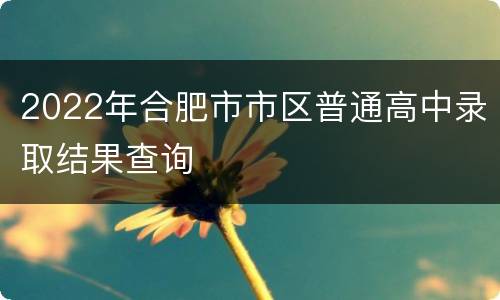2022年合肥市市区普通高中录取结果查询