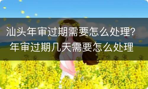 汕头年审过期需要怎么处理？ 年审过期几天需要怎么处理