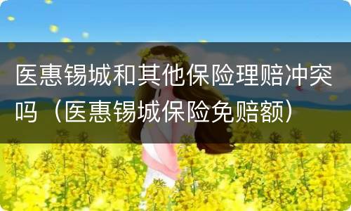 医惠锡城和其他保险理赔冲突吗（医惠锡城保险免赔额）