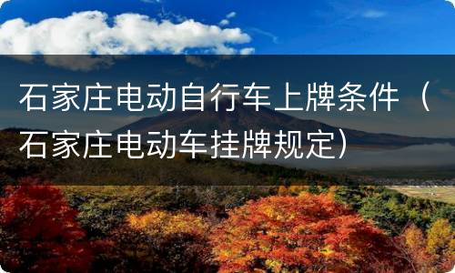 石家庄电动自行车上牌条件（石家庄电动车挂牌规定）