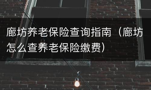 廊坊养老保险查询指南（廊坊怎么查养老保险缴费）