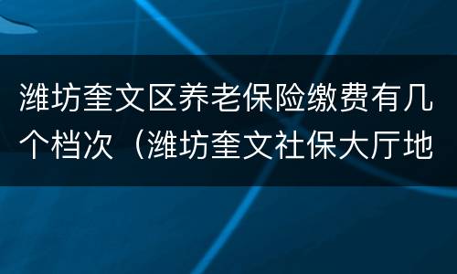 潍坊奎文区养老保险缴费有几个档次（潍坊奎文社保大厅地址查询）