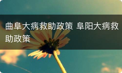 曲阜大病救助政策 阜阳大病救助政策