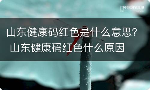 山东健康码红色是什么意思？ 山东健康码红色什么原因