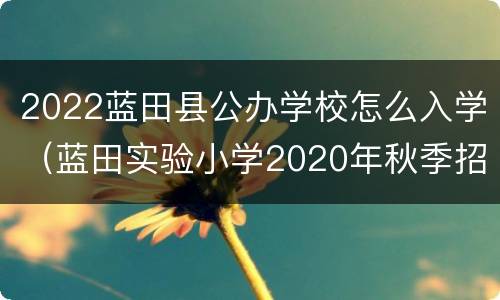 2022蓝田县公办学校怎么入学（蓝田实验小学2020年秋季招生）