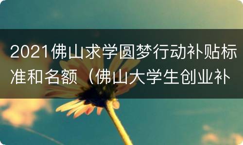2021佛山求学圆梦行动补贴标准和名额（佛山大学生创业补贴政策2021）