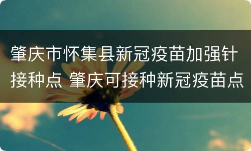 肇庆市怀集县新冠疫苗加强针接种点 肇庆可接种新冠疫苗点