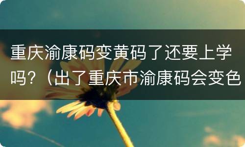 重庆渝康码变黄码了还要上学吗?（出了重庆市渝康码会变色吗）