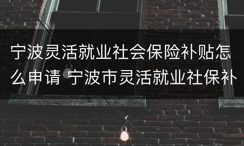 宁波灵活就业社会保险补贴怎么申请 宁波市灵活就业社保补贴