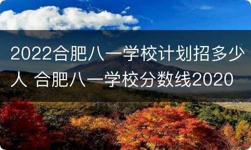 2022合肥八一学校计划招多少人 合肥八一学校分数线2020