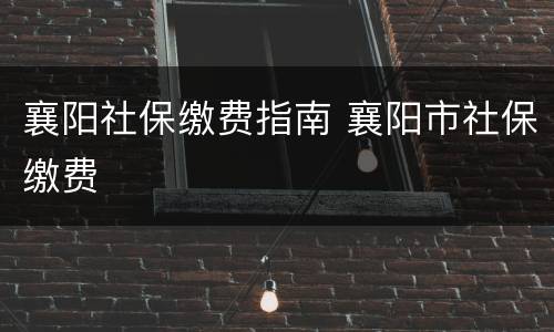 襄阳社保缴费指南 襄阳市社保缴费