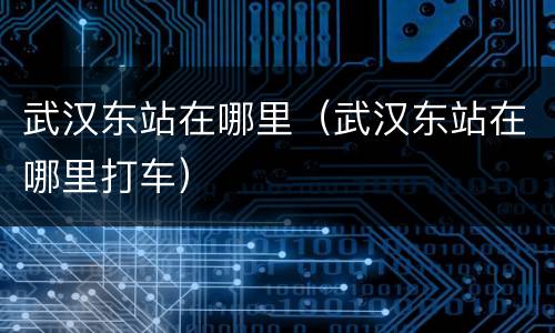 武汉东站在哪里（武汉东站在哪里打车）