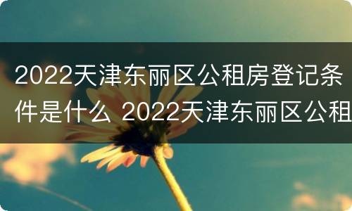 2022天津东丽区公租房登记条件是什么 2022天津东丽区公租房登记条件是什么呢