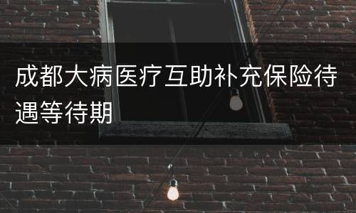 成都大病医疗互助补充保险待遇等待期