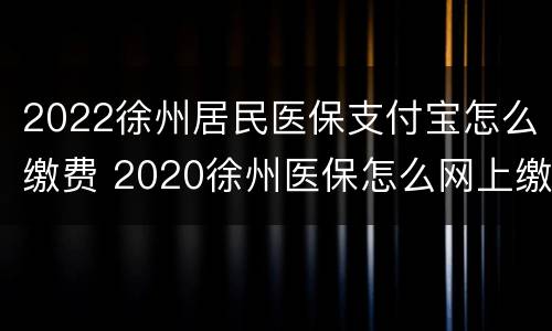 2022徐州居民医保支付宝怎么缴费 2020徐州医保怎么网上缴费