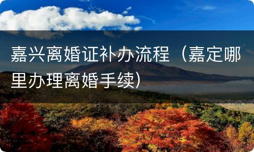 嘉兴离婚证补办流程（嘉定哪里办理离婚手续）