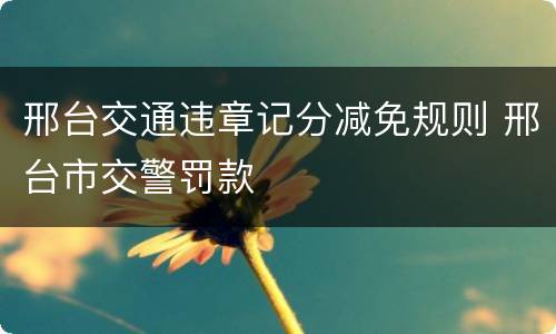 邢台交通违章记分减免规则 邢台市交警罚款