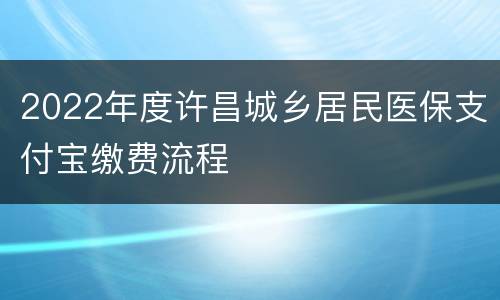 2022年度许昌城乡居民医保支付宝缴费流程
