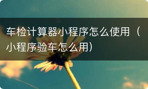 车检计算器小程序怎么使用（小程序验车怎么用）
