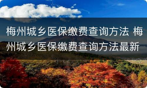梅州城乡医保缴费查询方法 梅州城乡医保缴费查询方法最新