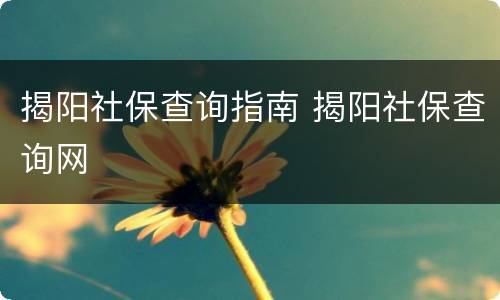 揭阳社保查询指南 揭阳社保查询网