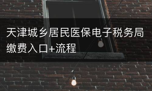 天津城乡居民医保电子税务局缴费入口+流程