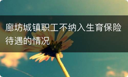 廊坊城镇职工不纳入生育保险待遇的情况