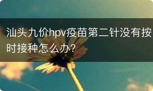 汕头九价hpv疫苗第二针没有按时接种怎么办？