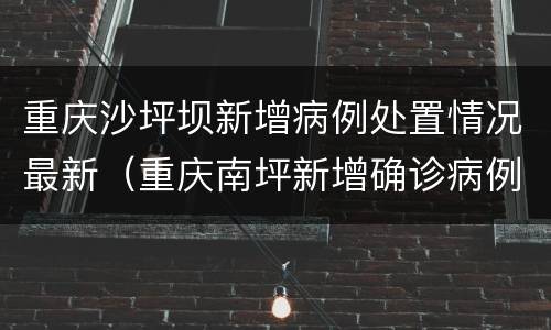 重庆沙坪坝新增病例处置情况最新（重庆南坪新增确诊病例）