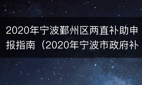2020年宁波鄞州区两直补助申报指南（2020年宁波市政府补贴政策）
