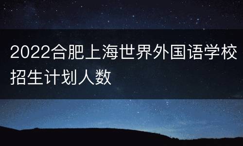 2022合肥上海世界外国语学校招生计划人数