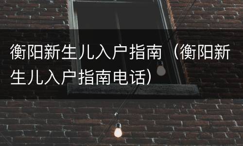 衡阳新生儿入户指南（衡阳新生儿入户指南电话）