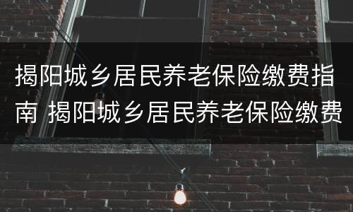 揭阳城乡居民养老保险缴费指南 揭阳城乡居民养老保险缴费指南电子版