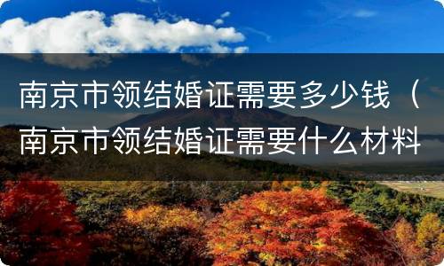 南京市领结婚证需要多少钱（南京市领结婚证需要什么材料）