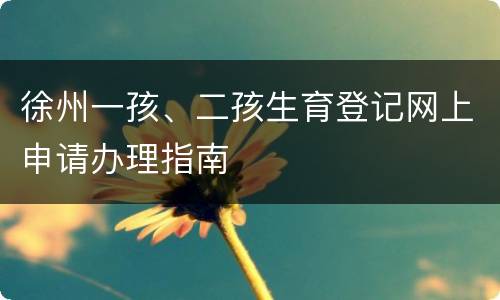 徐州一孩、二孩生育登记网上申请办理指南