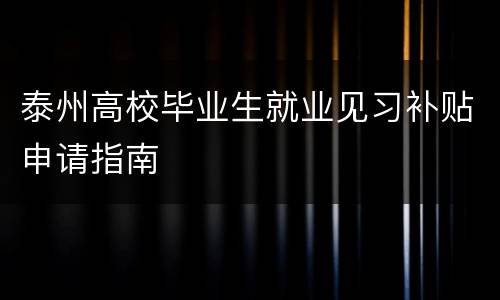 泰州高校毕业生就业见习补贴申请指南