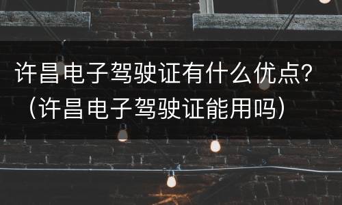 许昌电子驾驶证有什么优点？（许昌电子驾驶证能用吗）
