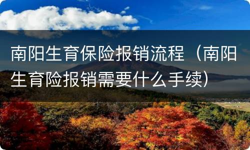 南阳生育保险报销流程（南阳生育险报销需要什么手续）