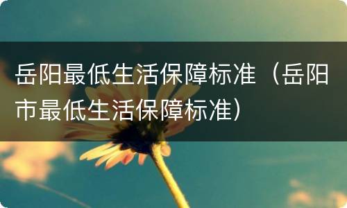 岳阳最低生活保障标准（岳阳市最低生活保障标准）