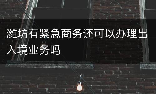 潍坊有紧急商务还可以办理出入境业务吗